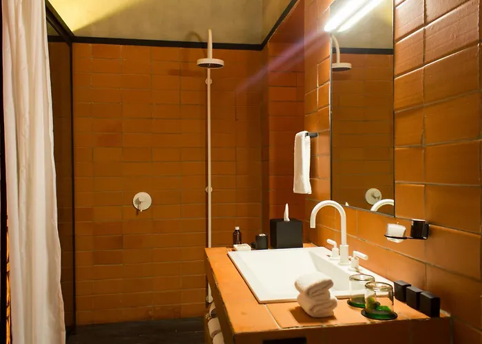 Downtown Hotel 5*