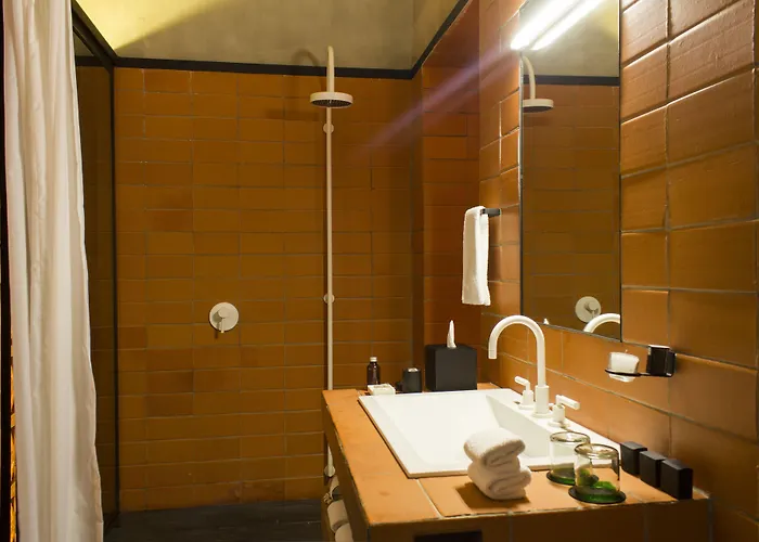 Downtown Hotel 5*